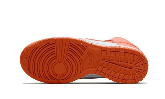 Nike Dunk High Salmon Grey